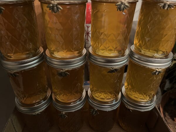 KBee Honey - Image 3